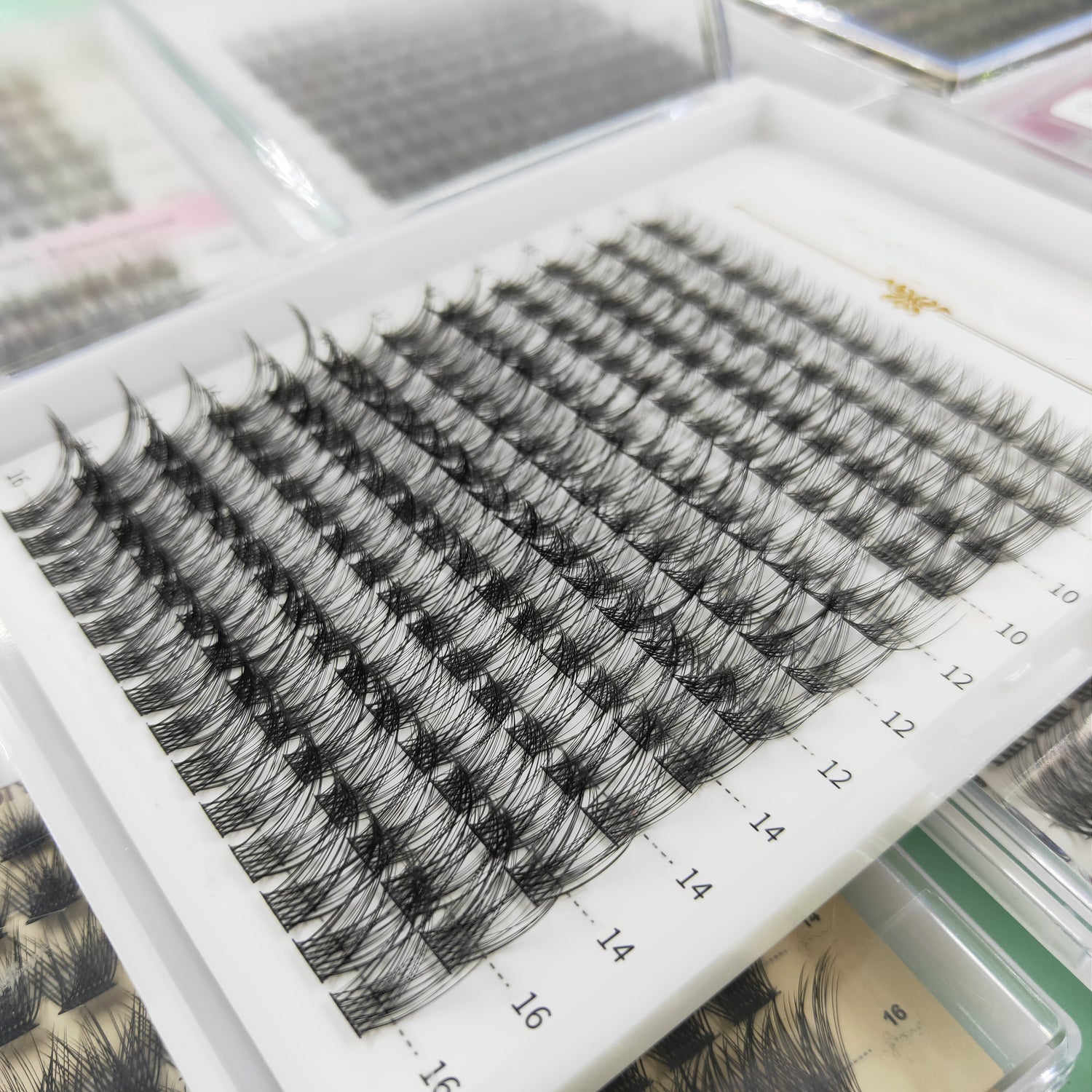Production Private Label Segmented Eyelashes Supplier